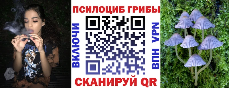 ссылка на мегу как войти  Нефтекумск  Галлюциногенные грибы мицелий 